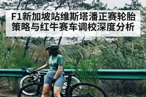 F1新加坡站维斯塔潘正赛轮胎策略与红牛赛车调校深度分析 | kaiyun
